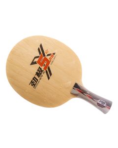 DHS Power G5X 